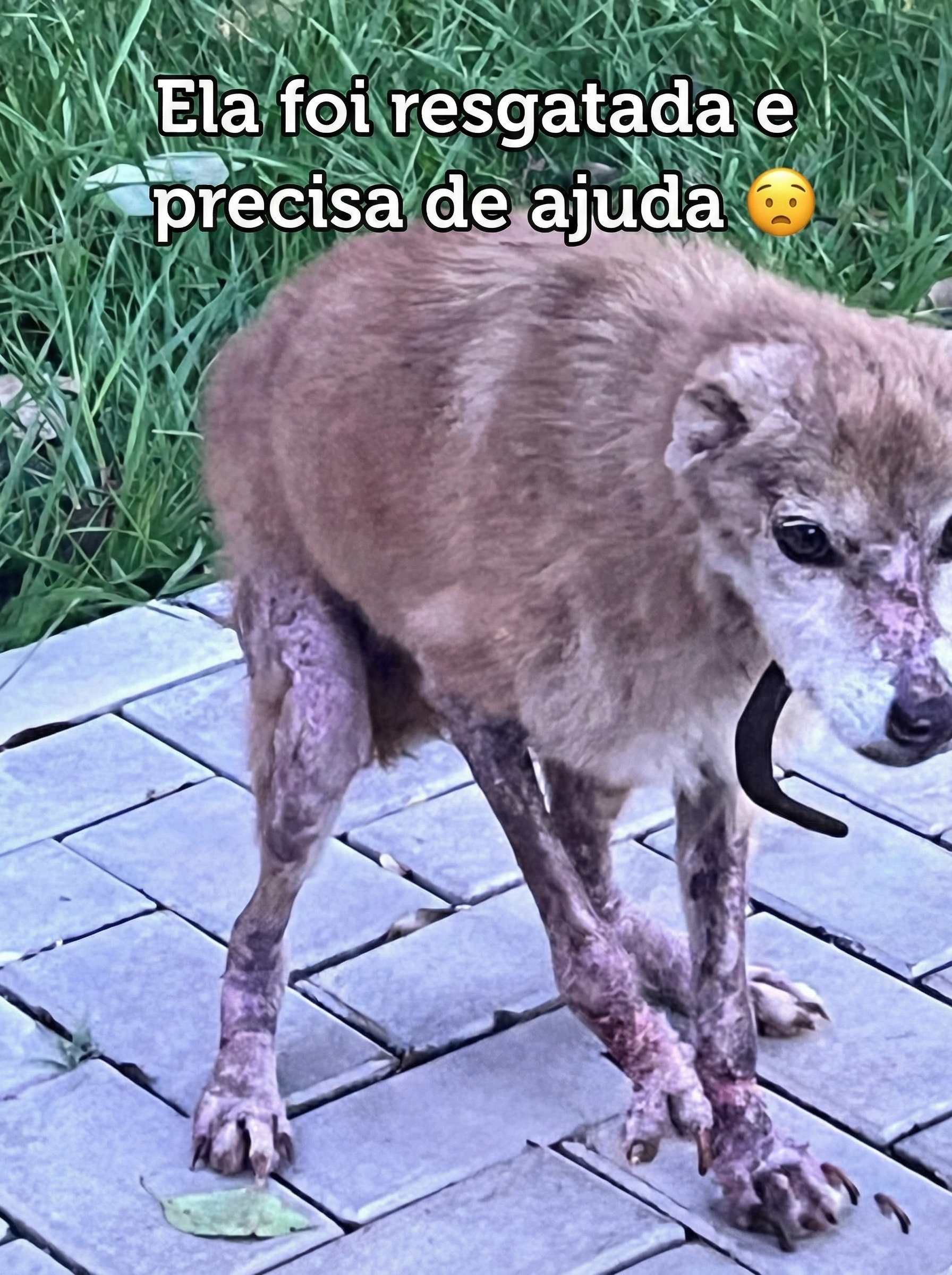 Resgate 3 - Recuperação